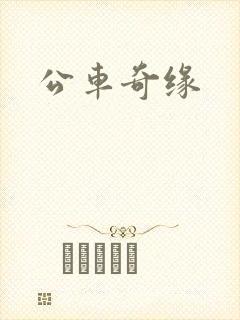 公车奇缘封面