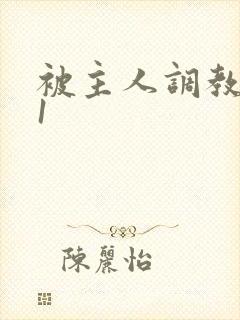 被主人调教1v1封面