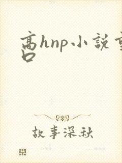 高hnp小说重口