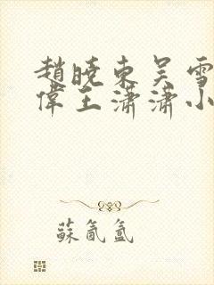 赵晓东吴雪晴郑伟王潇潇小说名字