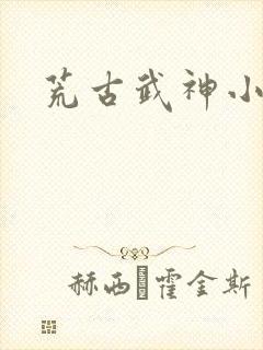 荒古武神小说