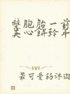 双胞胎一前一后夹心饼干年下