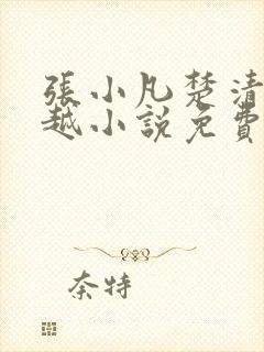 张小凡楚清璇穿越小说免费阅读