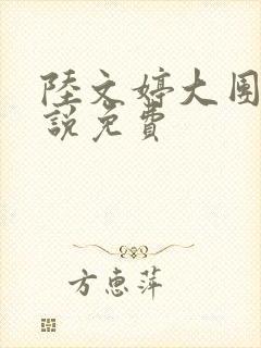 陆文婷大团圆小说免费封面