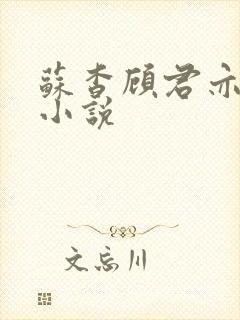 苏杳顾君亦阅读小说封面