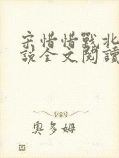 宋惜惜战北望小说全文阅读