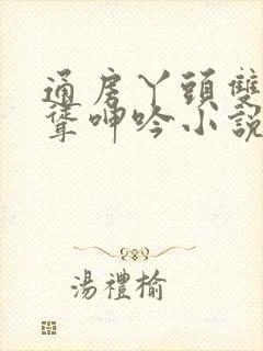 通房丫头双乳高耸呻吟小说