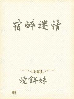 宿醉迷情封面
