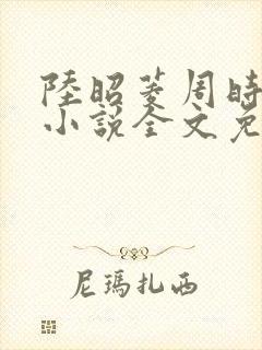 陆昭菱周时阅的小说全文免费阅读封面