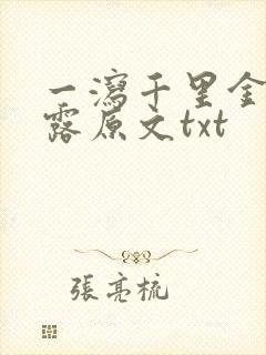 一泻千里金银花露原文txt