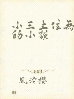 小三上位无三观的小说