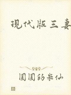 现代版三妻四妾封面