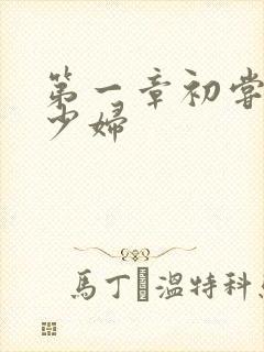 第一章初尝极品少妇