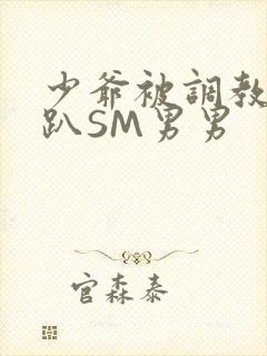 少爷被调教室跪趴SM男男封面