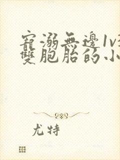 宠溺无边1v3双胞胎的小说