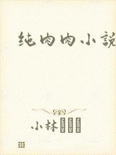 纯肉肉小说