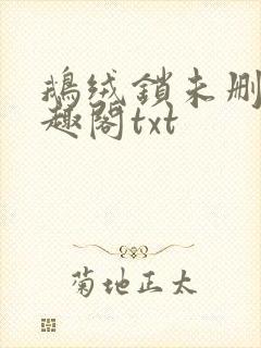 鹅绒锁未删除笔趣阁txt封面