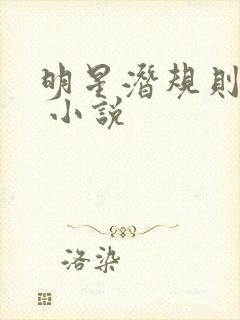 明星潜规则之皇 小说