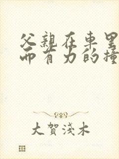 父亲在车里缓慢而有力的撞着