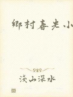 乡村春光小说