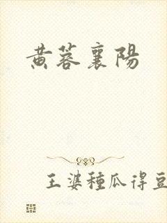 黄蓉襄阳