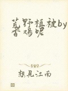 荒野植被by麦香鸡呢封面