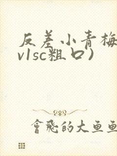 反差小青梅(1v1sc粗口)