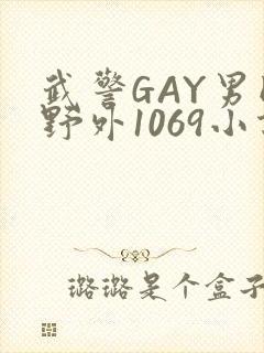 武警GAY男同野外1069小说封面