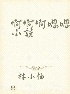 啊啊啊嗯嗯嗯h小说