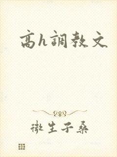 高h调教文