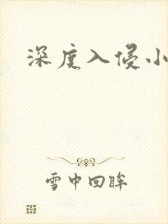 深度入侵小说封面