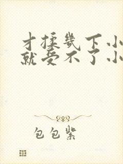 才揉几下小奶头就受不了小说封面