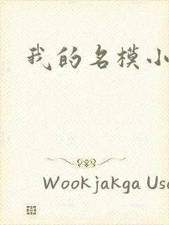 我的名模小娇妻