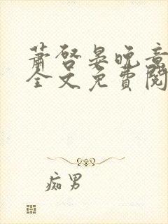 萧启晏晚意小说全文免费阅读