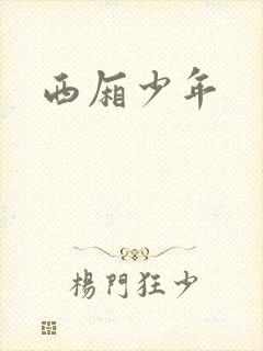 西厢少年