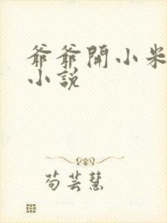 爷爷开小米的包小说