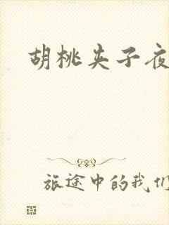 胡桃夹子夜未眠