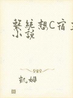 系统想C宿主的小说