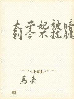 太子妃被暗卫C到合不拢腿封面