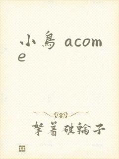 小鸟 acome封面