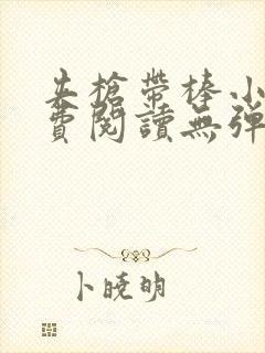 夹枪带棒小说免费阅读无弹窗笔趣封面