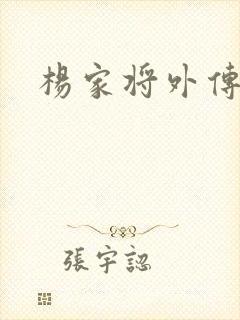 杨家将外传封面