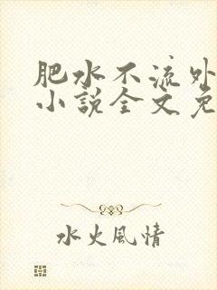 肥水不流外人田小说全文免费阅读1封面