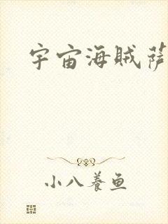 宇宙海贼萨拉封面