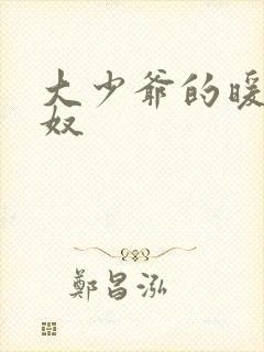 大少爷的暖床小奴