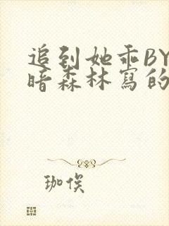 追到她乖BY黑暗森林写的小说