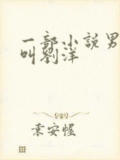 一部小说男主角叫刘洋