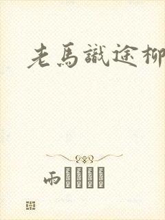 老马识途柳娇娇封面