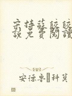 宋持苏皎皎的小说免费阅读封面