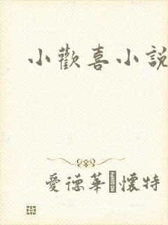 小欢喜小说